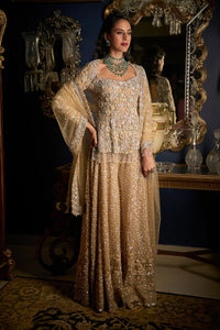 Nude Silver Sharara Set