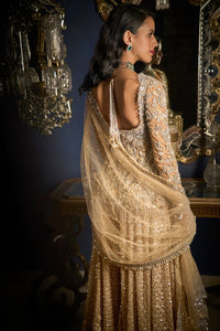 Nude Silver Sharara Set
