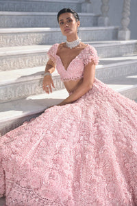 Pink Cut Work Lehenga Set