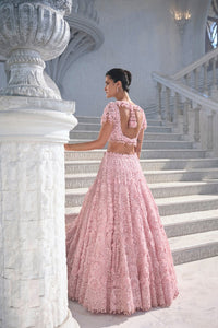 Pink Cut Work Lehenga Set