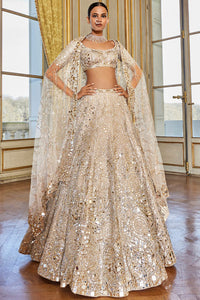 Rose Gold Mirror Work Lehenga Set