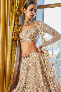 Rose Gold Mirror Work Lehenga Set