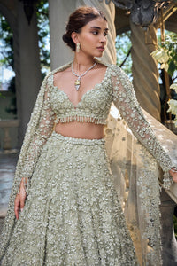 Sage Green Three-Dimensional Lehenga Set