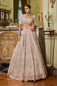 Wheat Pearl Lehenga Set