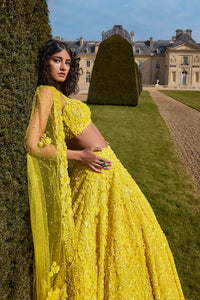Yellow Sequin Lehenga Set