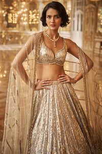 Silver Gold Crystal Lehenga Set