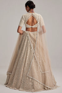 Light Beige High Neck Blouse Lehenga Set