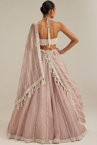 Ash Pink Linear Embroidered Lehenga