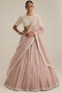 Ash Pink Pearl Drop Lehenga