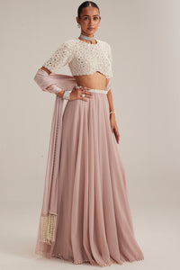 Ash Pink Georgette Skirt with Blouse and Stole
