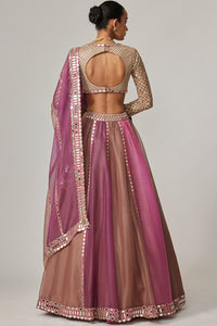 Mud Mauve Lehenga with V-Neck Blouse