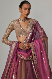 Mud Mauve Lehenga with V-Neck Blouse
