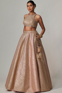 Deep Beige Lehenga Set with Crop Top