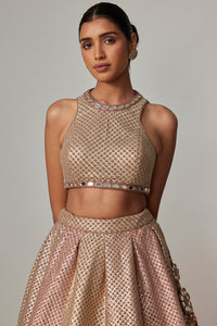 Deep Beige Lehenga Set with Crop Top
