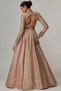 Deep Beige Lehenga Set with Crop Top