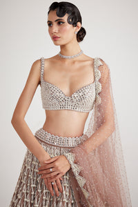 Beige Chandelier Pearl Drop Lehenga Set