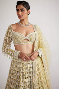 Fern Green Chandelier Pearl Drop Lehenga Set