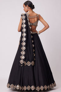 Black Organza Hand Embroidered Lehenga Set