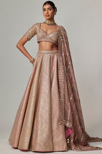 Deep Beige Multicolour Metallic Lehenga Set