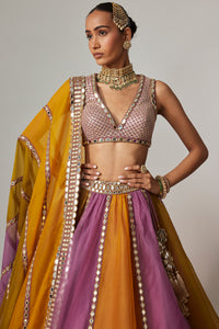 Mustard Multicolour Linear Lehenga Set