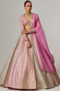 Dark Blush Metallic Lehenga Set with Blush Dupatta