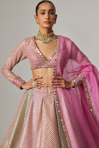 Dark Blush Metallic Lehenga Set with Blush Dupatta