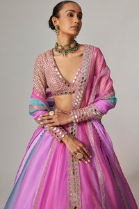 Mauve Multicolor Lehenga Set