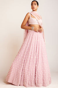 Powder Pink Pearl Flower Lehenga