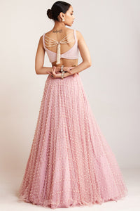 Powder Pink Dense Pearl Lehenga