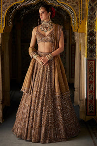 Copper Gold Crystal Lehenga Set