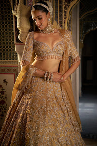Gold Crystal Lehenga Set