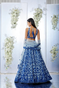 Blue Resham Lehenga