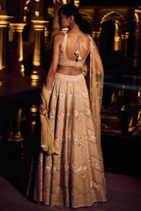 Pranayi Lehenga - Nude