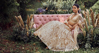 Idaya Lehenga - Champagne