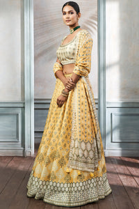 Mihira Lehenga Set