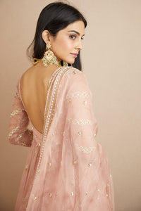 Blush Pink Organza Lehenga Set