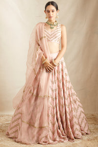 Blush Pink Raw Silk Lehenga Set
