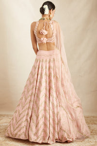 Blush Pink Raw Silk Lehenga Set