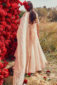 Champagne Organza Belted Anarkali Set