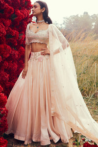 Champagne Pleated Lehenga