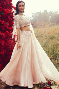 Champagne Pleated Lehenga