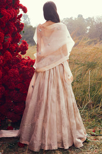 Champagne Pleated Lehenga