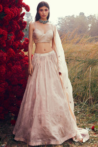 Champagne Tara Lehenga Set