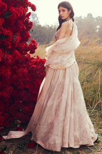 Champagne Tara Lehenga Set