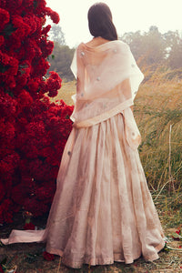 Champagne Tara Lehenga Set