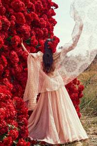 Champagne Tara-Nurekha Cape Set