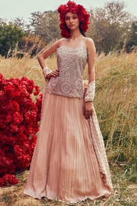 Champagne Embroidered Short Kurta & Pleated Skirt Set