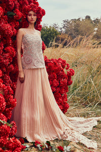 Champagne Embroidered Short Kurta & Pleated Skirt Set