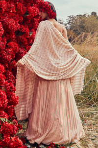 Champagne Embroidered Short Kurta & Pleated Skirt Set