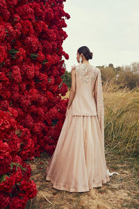 Champagne Embroidered Kurta and Skirt Set